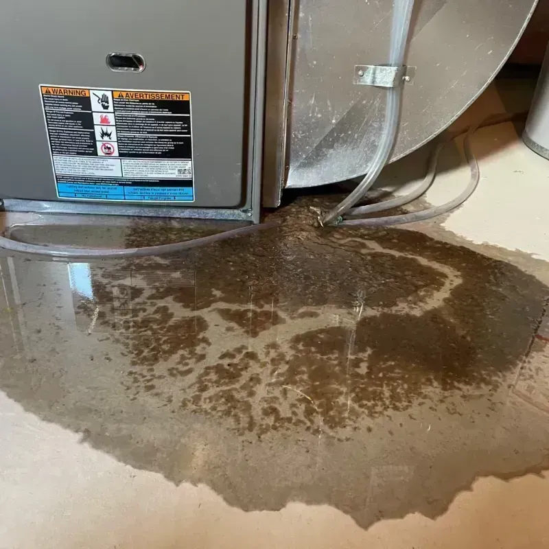 Appliance Leak Cleanup in Crane, MO